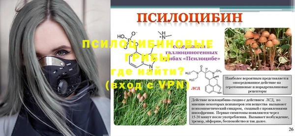 mdpv Кодинск