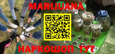 индика Заводоуковск