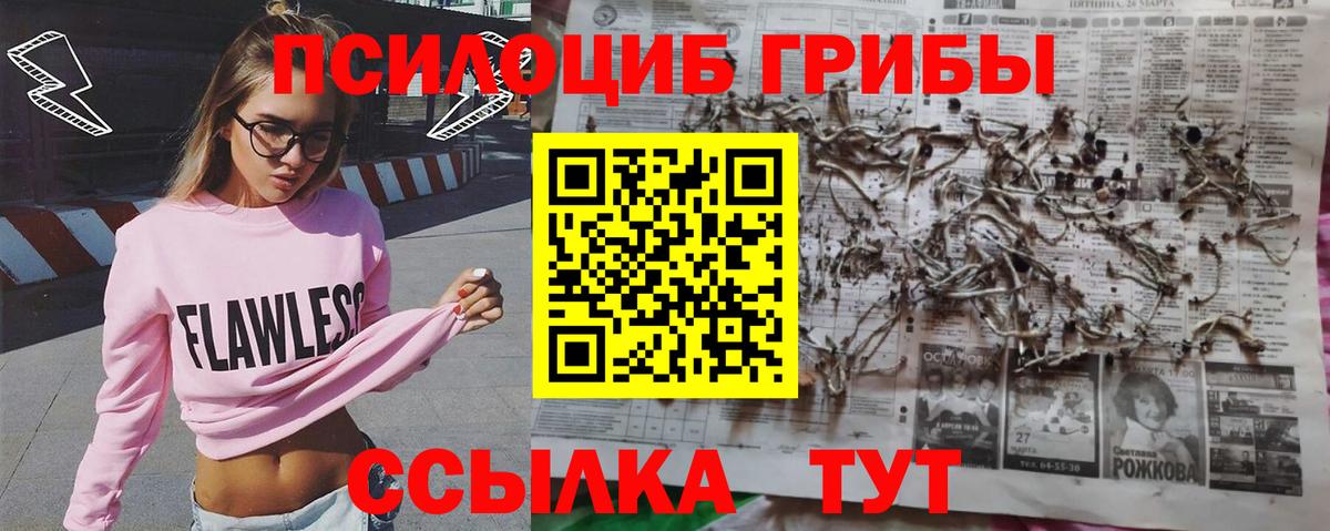 Курчатов  Псилоцибиновые грибы MAGIC MUSHROOMS  Вход с VPN  Псилоцибиновые грибы мухоморы 
