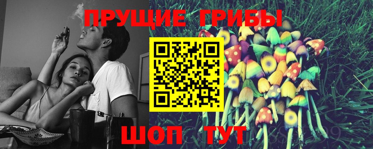 Галлюциногенные грибы GOLDEN TEACHER Курчатов